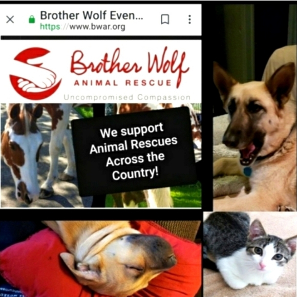 Like For LIVE shows-Jewelry & Collectibles For Animal Rescues. - Picture 2 of 16